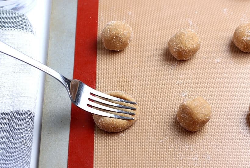 Why buy cookies at the store when you can make fresh ones at home? Follow this Easy Peanut Butter Cookies recipe to make sweet and tasty cookies from scratch. Grab a glass of milk and enjoy this easy soft and chewy peanut butter cookie recipe.