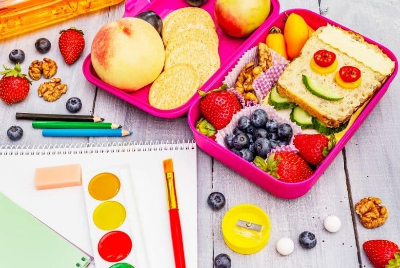 Tired of making the same things for the kids to take to school and want to have fresh ideas? Use this School Lunch Planner to keep track of meals and snacks packed for your little ones each day!