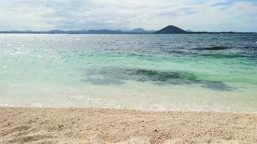 濟州牛島