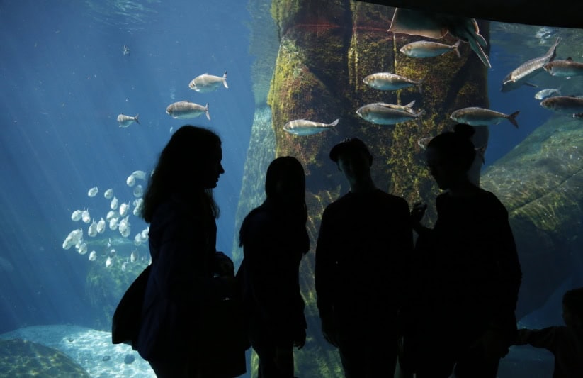 Students at the Montreal Biodome