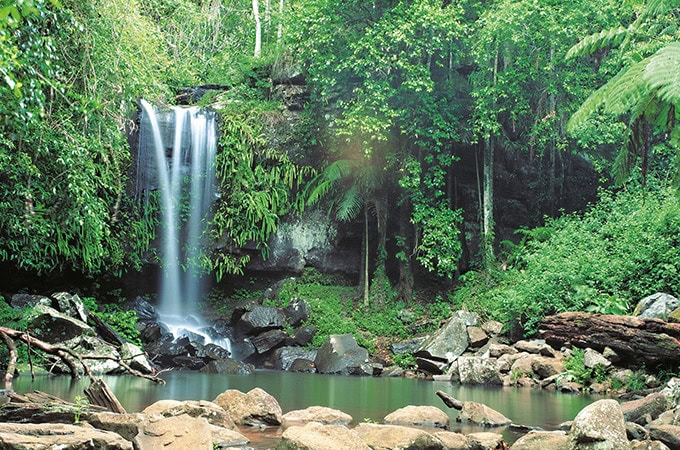 Curtis Falls Tamborine Mountain