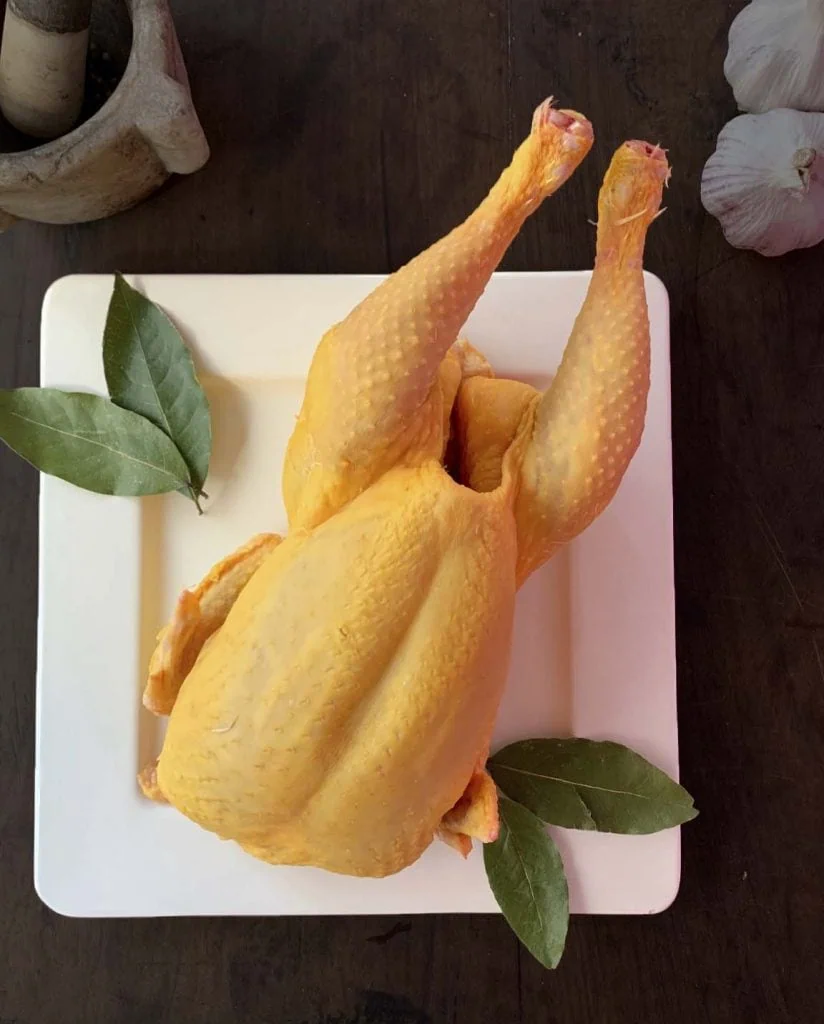 pollo de corral de primera calidad