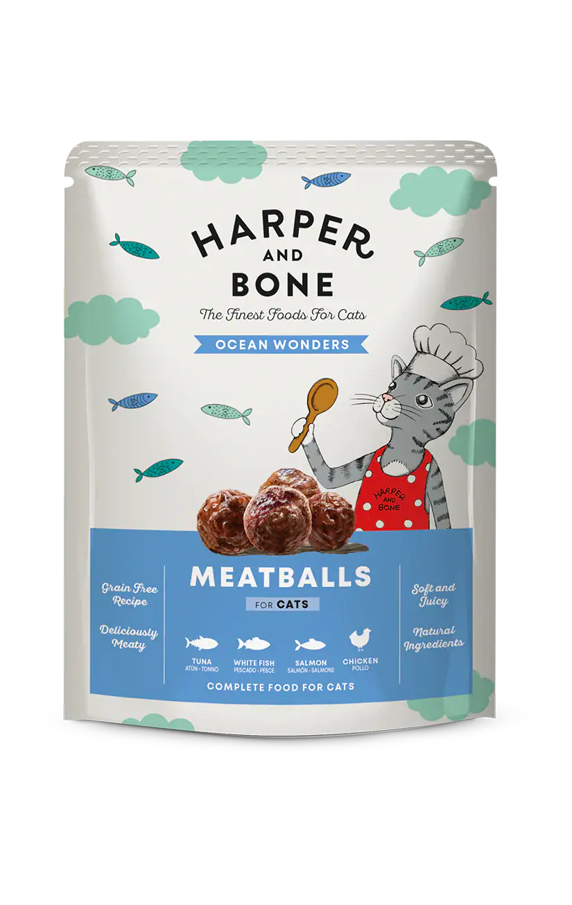 Harper & Bone Ocean Wonders Gatos