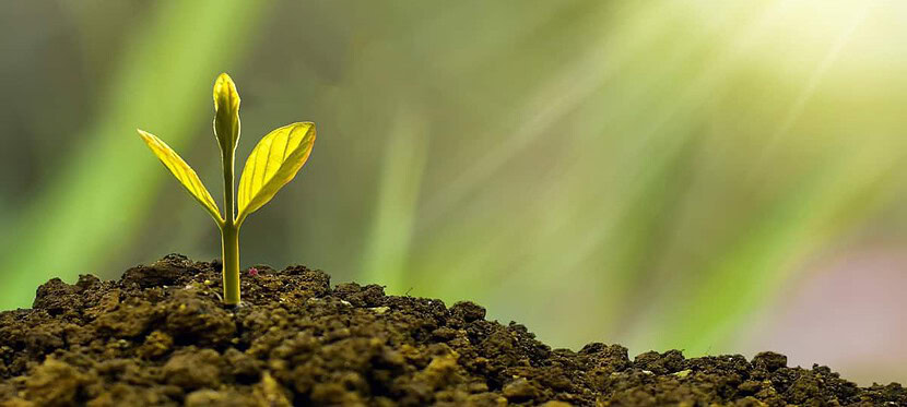 7 Ways to Increase Customer Lifetime Value
