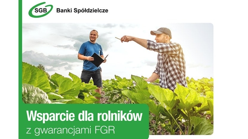 Banki spółdzielcze SGB liderem finansowania sektora agro