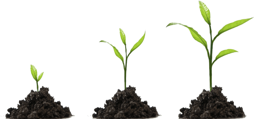 Plastenici za uzgajanje biljaka