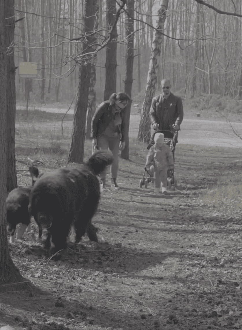 Zrzut ekranu 2025-04-8 o 16.15.21