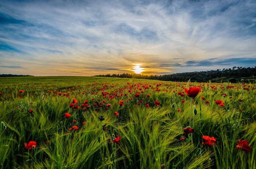 Jose-M-Diez