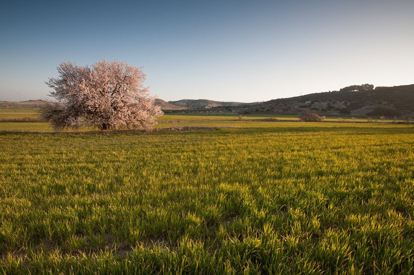 pincel de ajuste avanzado_RAW