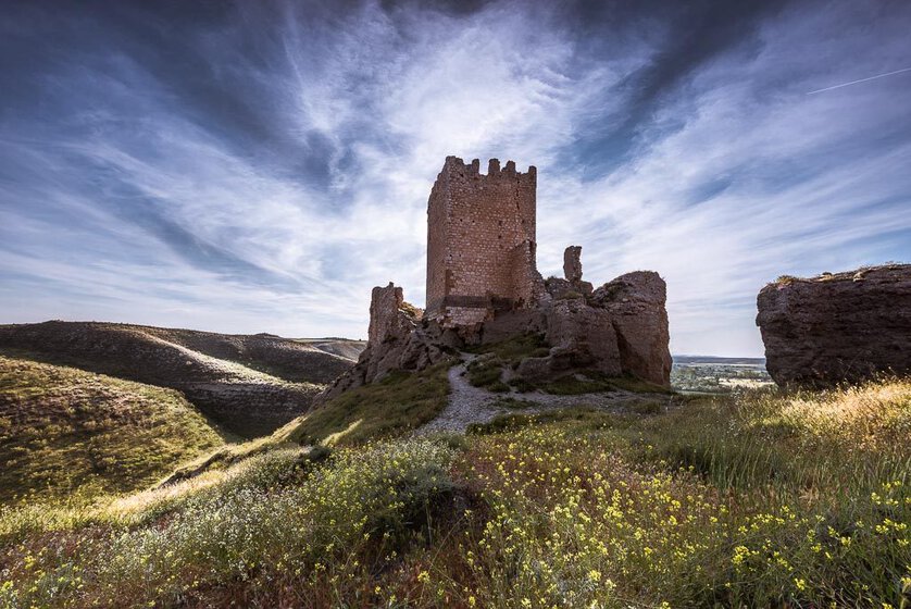 vicent-galiana