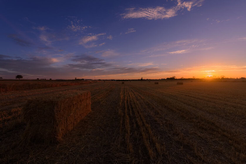 _app8474-hdr-2-para-web