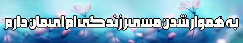 میسر زندگی