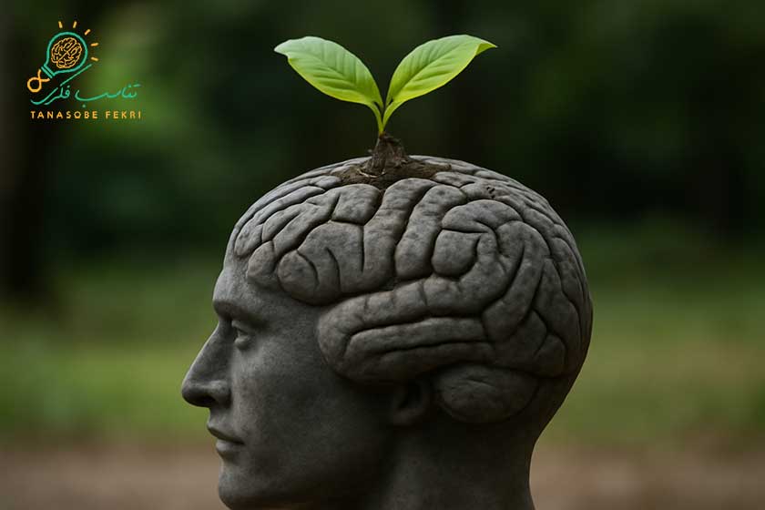 تغییر باورهای چاق کننده