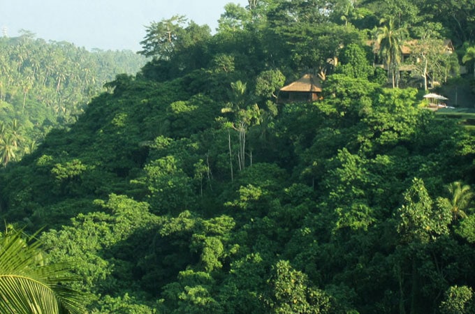 Ubud, Bali