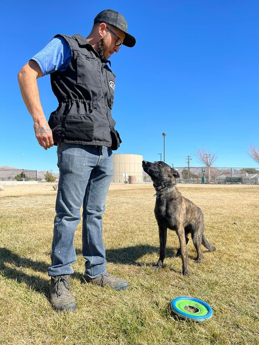 Gallardo's K9s helping families give structure to their dogs