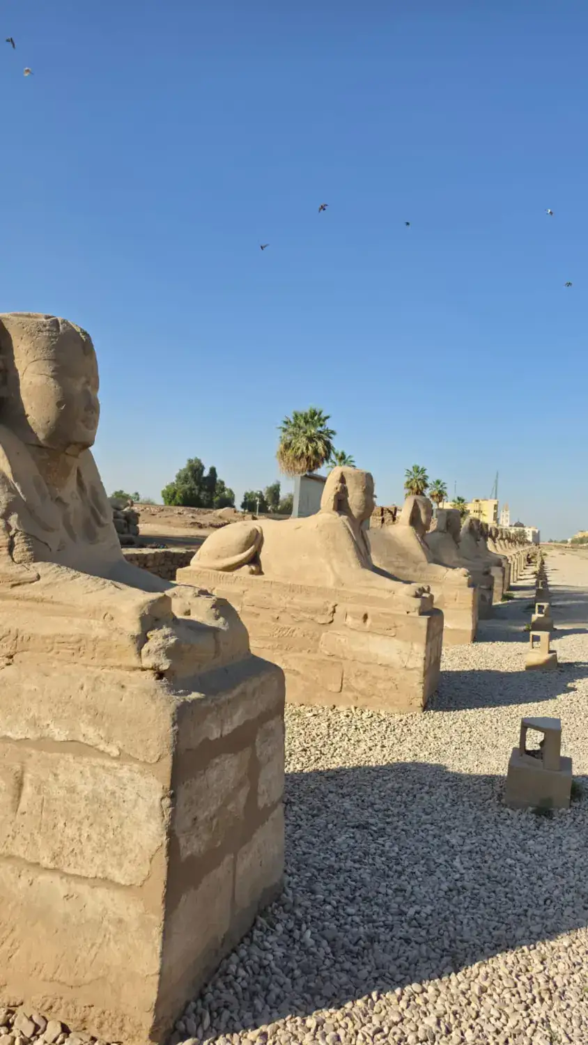 Human-headed sphinx statues guarding the processional avenue