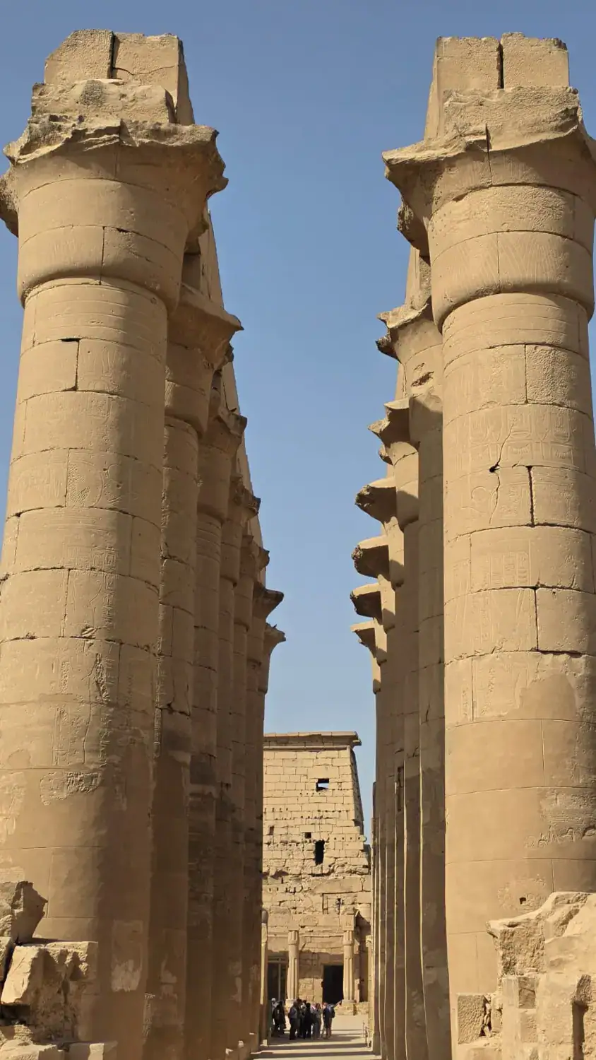 Decorated papyrus columns photographed from below