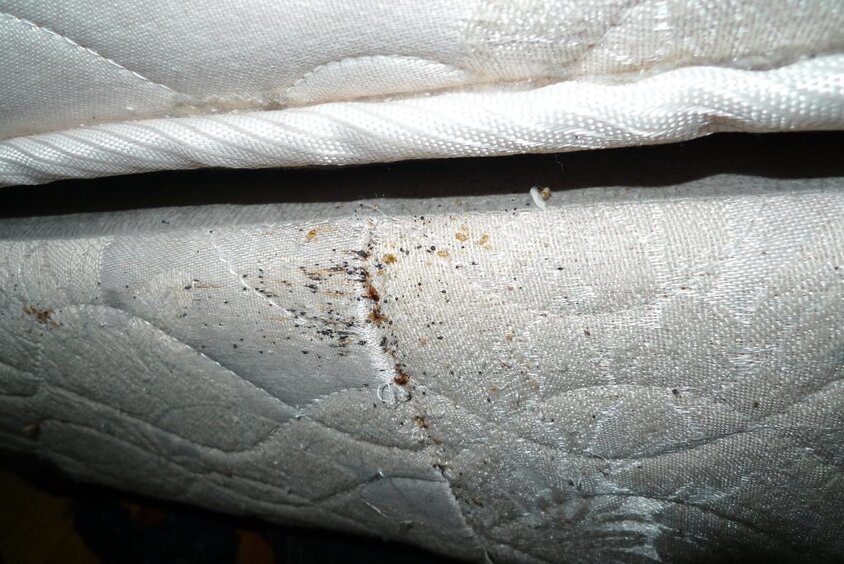 signs of bed bugs on a mattress