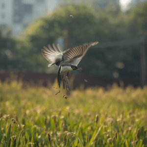 A Bird Species is Introduced to Control an Insect Pest: Natural Solutions, Benefits, and Risks