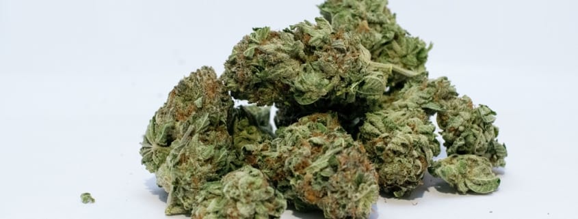 cannabis testing mocann testing missouri