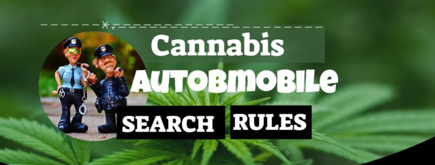 Cannabis Automobile search rules 2020 www.micannabislawyer.com