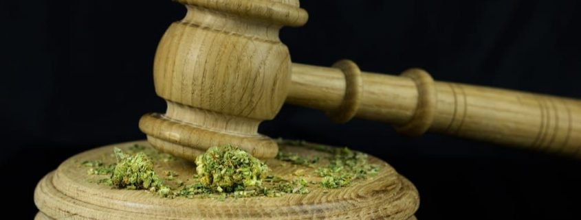 marijuana attorney michigan cannabis lawyers www.micannabislawyer.com