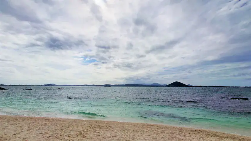 濟州牛島