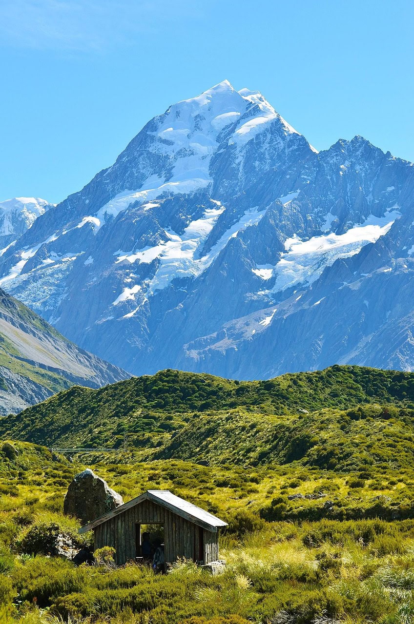 study in newzealand for international students