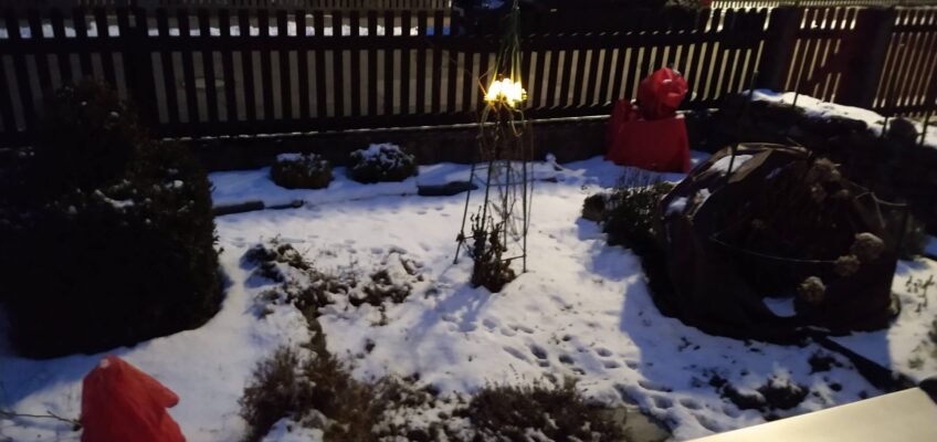 Winterurlaub im Ferienhaus mit Herz für Hunde in Moosbach Bayern