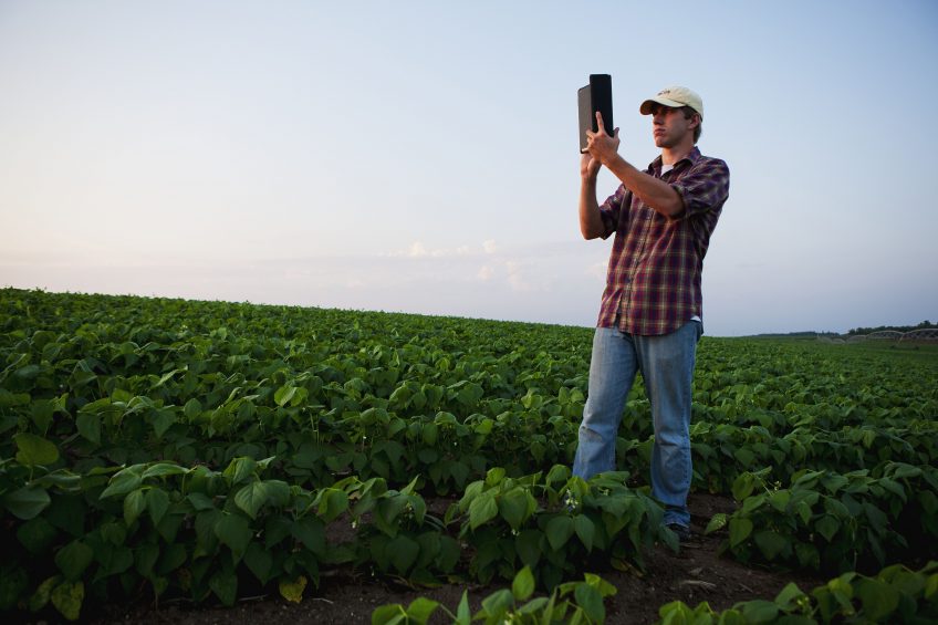 Manage farm data successfully in these 6 steps - Future Farming