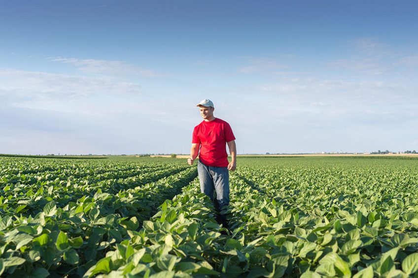 Operation Weed Eradication is to to help growers improve yields and solve challenges for their ag operations. - Photo: Business Wire