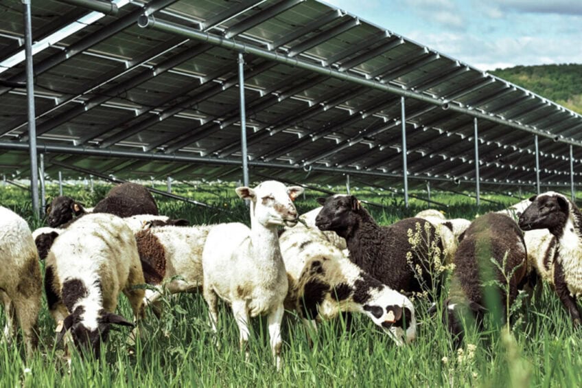 Solar farming is, of course, not necessarily something that will or can happen everywhere, and doing so on a large scale on agricultural land is a tall order.