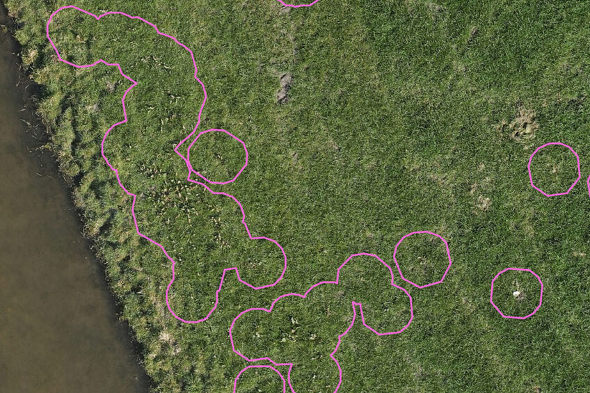 Herbicide is only sprayed in the circles around the identified sorrel. Stef Ruiter is now using areas with a diameter of 50 cm to be on the safe side. He expects to work even more precisely in the long term.