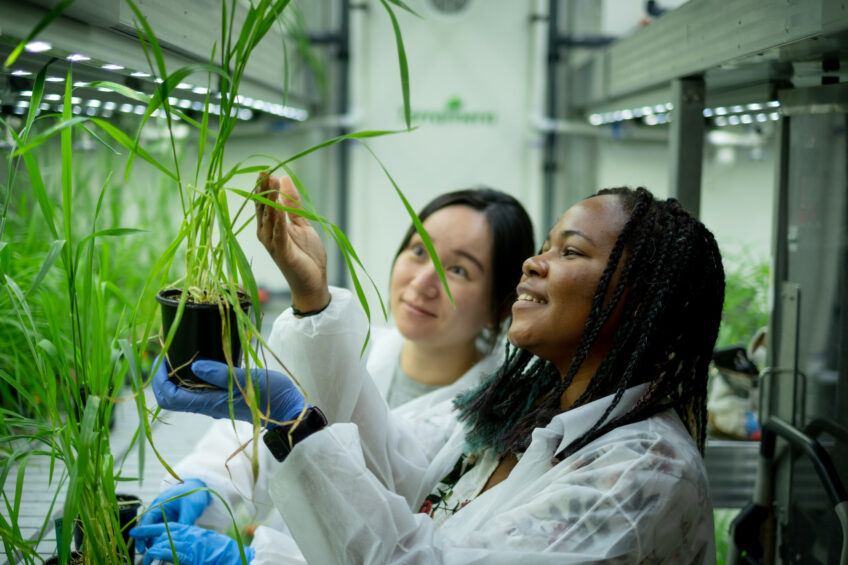 Catalera secures series A funding to boost biological pest control ...