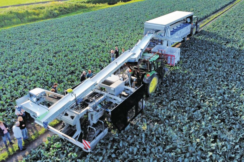 Students develop fall-breaking system for broccoli