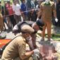 Polsek Cisompet mengamankan seorang pria berinisial AS (28) yang diduga terlibat dalam kasus penganiayaan hingga menyebabkan seorang warga meninggal dunia. 