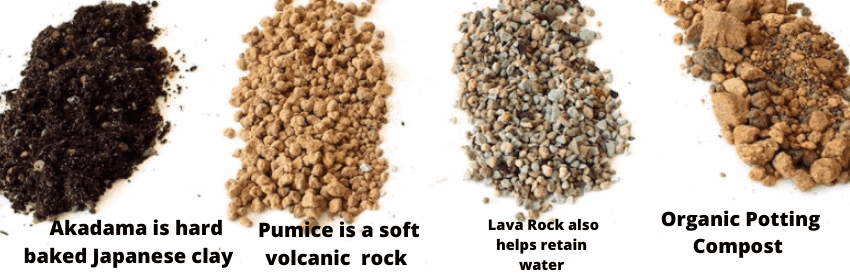 Types of Soil for your Bonsai