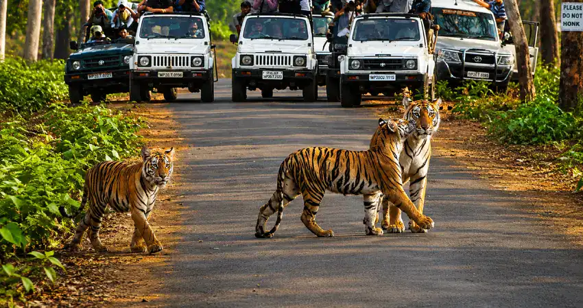 Kanha National Park