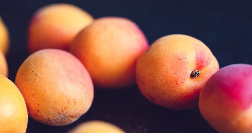 Türkiye'nin kayısı ihracatı yüzde 60 artarak tüm zamanların rekorunu kırdı.