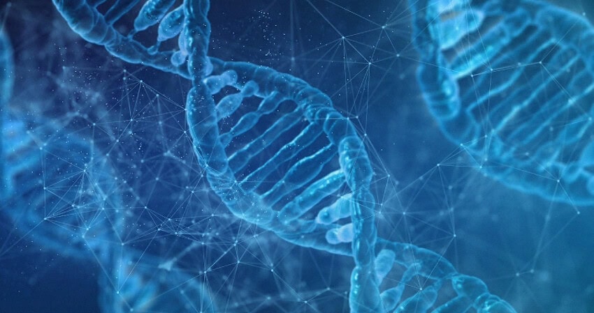 
ABD'deki bilim insanları, ilginç bir keşif yaparak DNA örneklerinin insanın