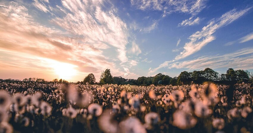 Bu haberin fotoğrafı yok