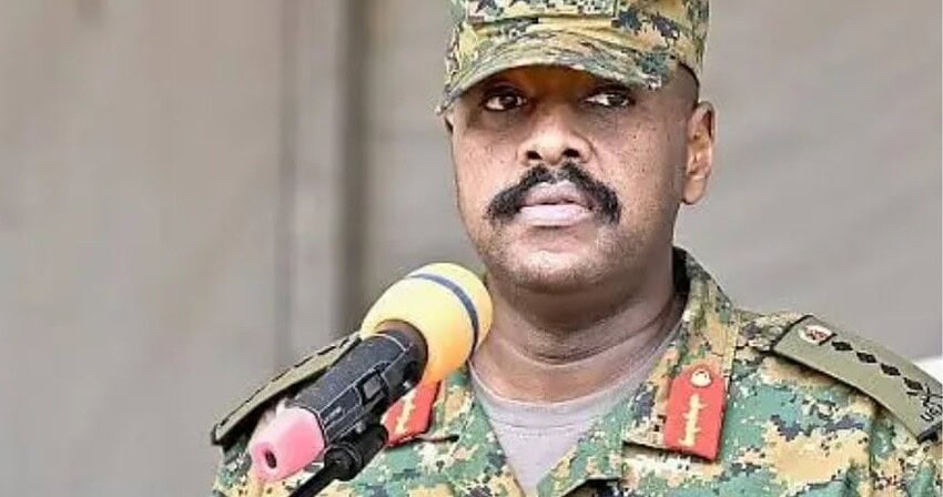 Just read for fun, but never believe it.. From the