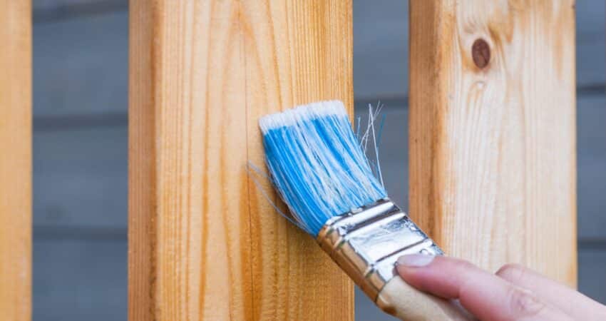 professional house painting services