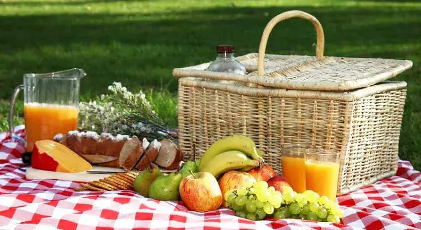 summer picnic