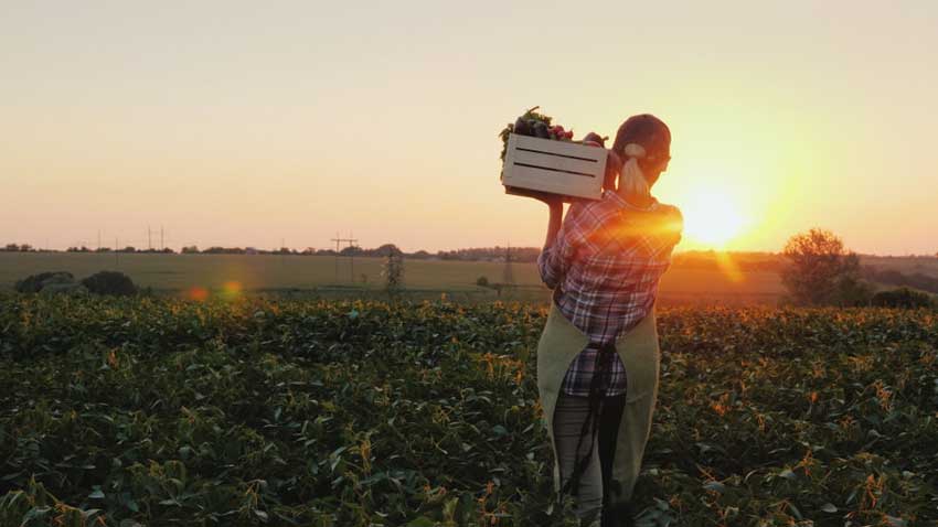 organic farmer