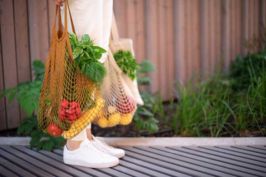 sustainable Eating