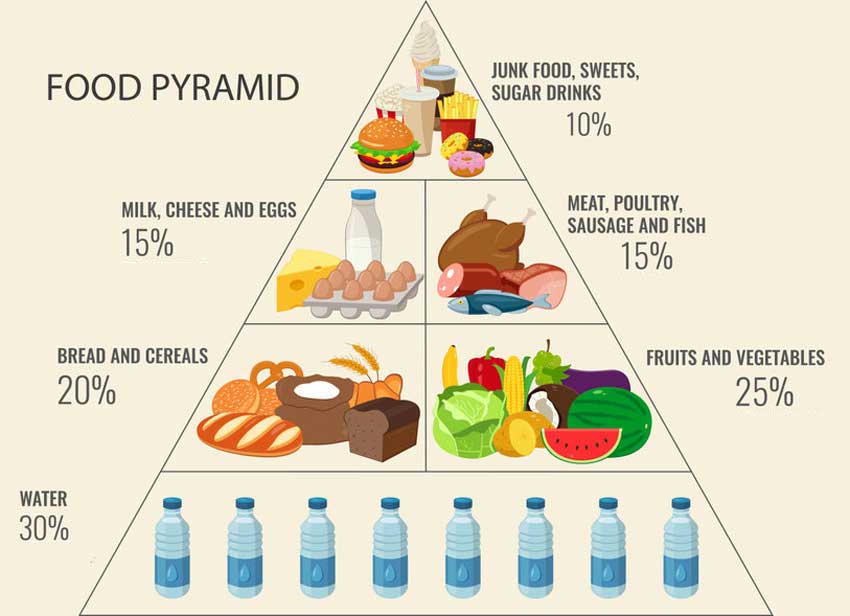 food pyramid