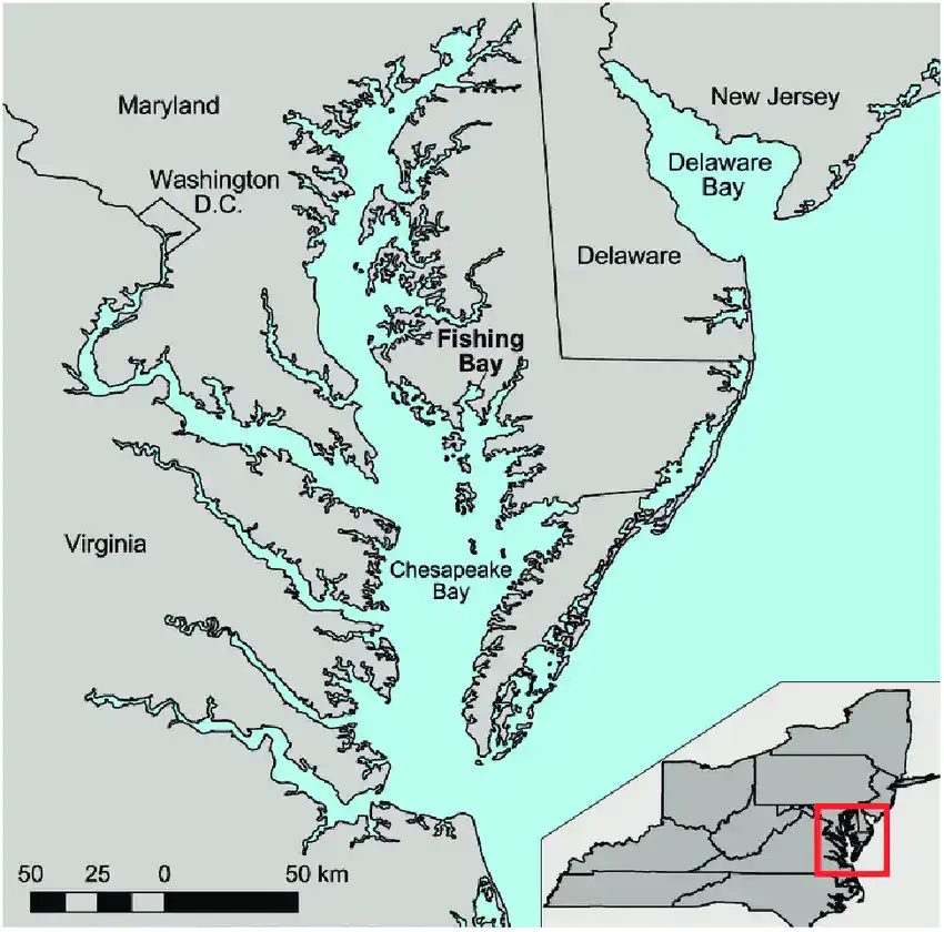 Map-of-the-Chesapeake-Bay-and-Fishing-Bay.png