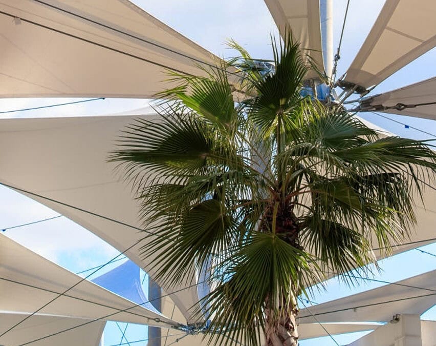 kanopi membrane, puncak, arsitektur modern