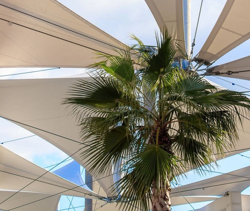 kanopi membrane, puncak, arsitektur modern